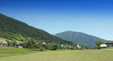 Giri città e sightseeing tours con guide austriache